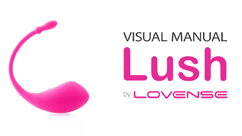 Lovense Lush 1 Guide